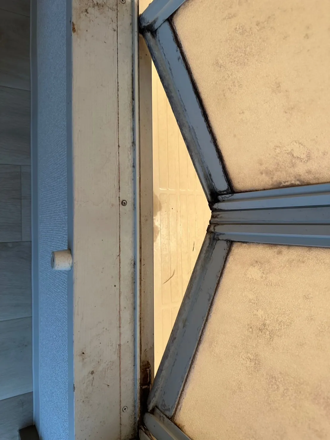 ようやく綺麗になりました！