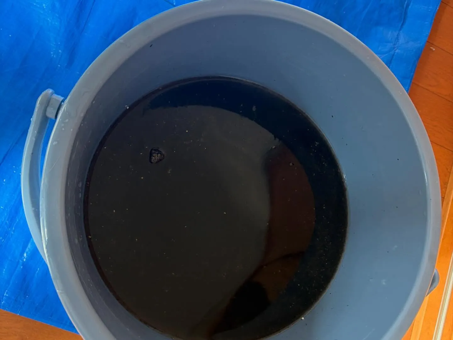 繁忙期に突入し、アパートクリーニングの依頼が増えております！...