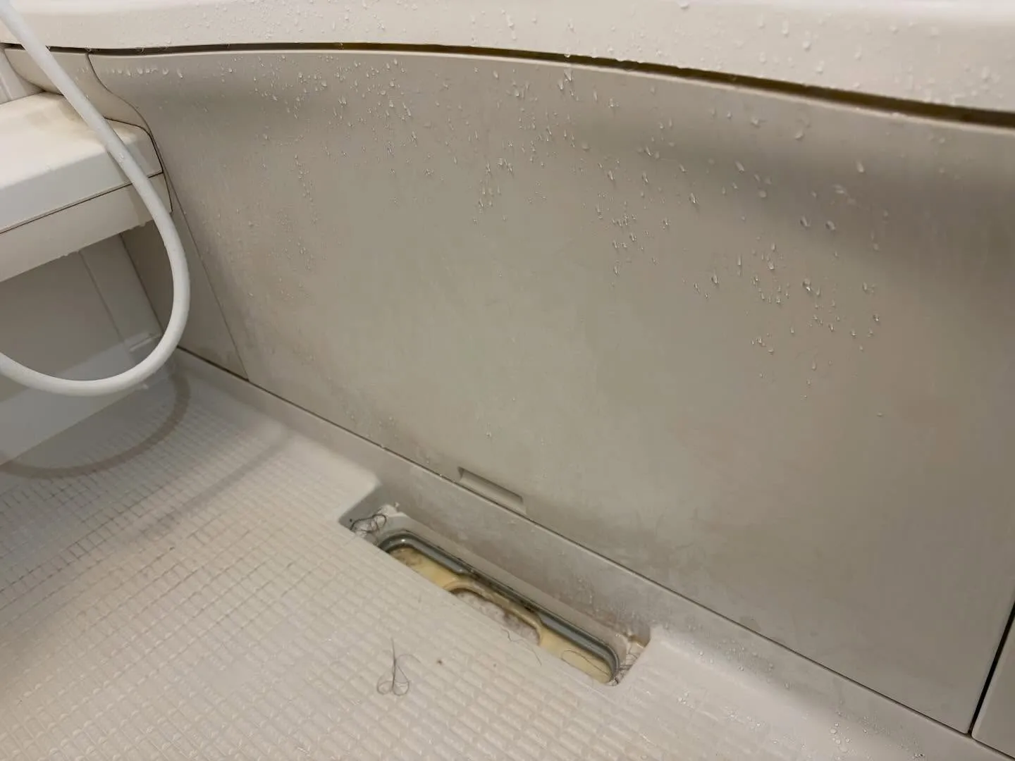 今日は大切な浴室クリーニング。