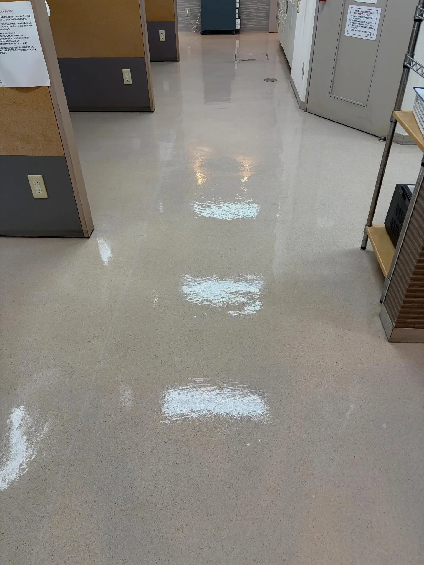 3月の穏やかな気候の中、新しい年度を迎える前のこの時期、私た...