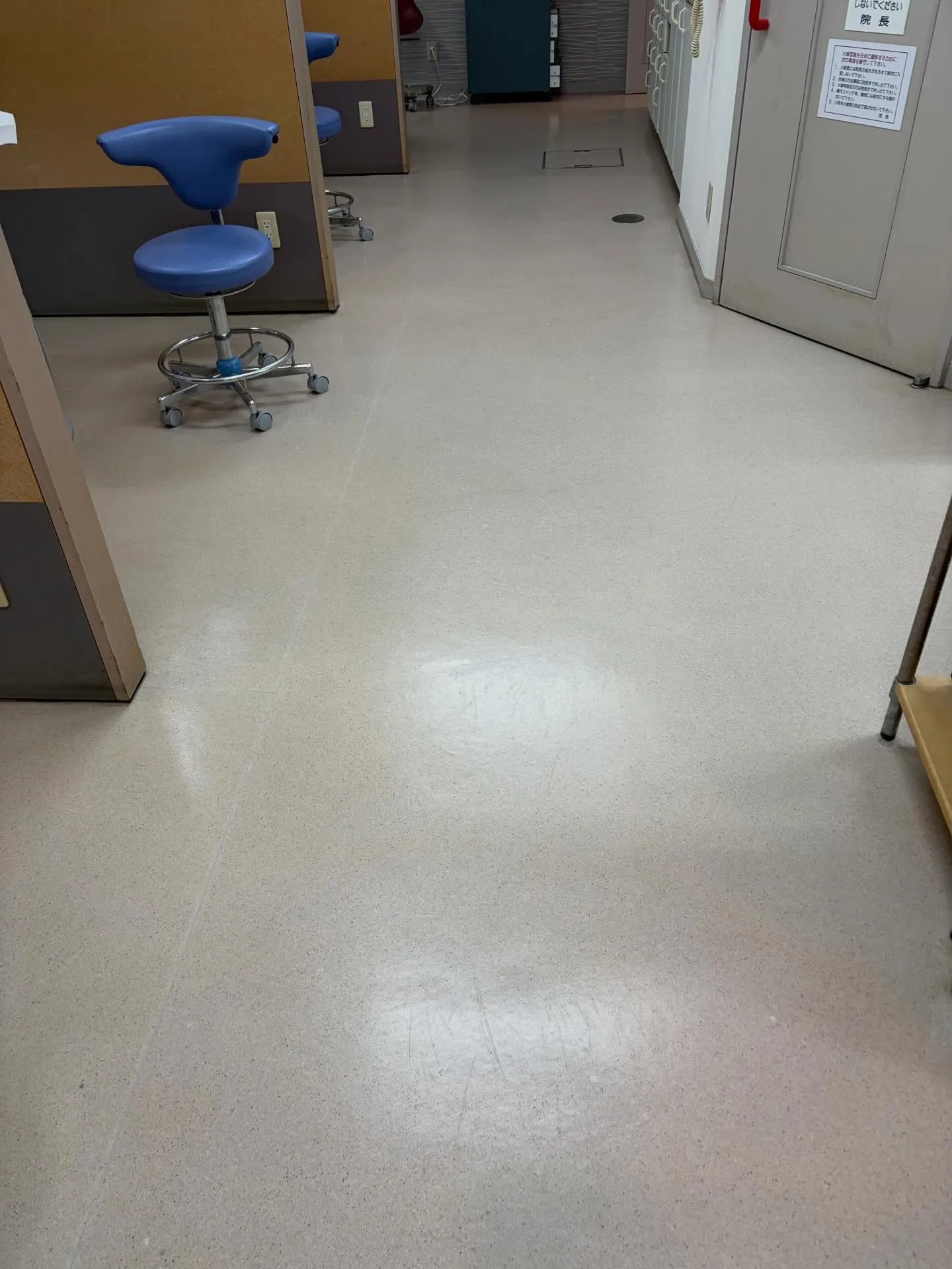 3月の穏やかな気候の中、新しい年度を迎える前のこの時期、私た...