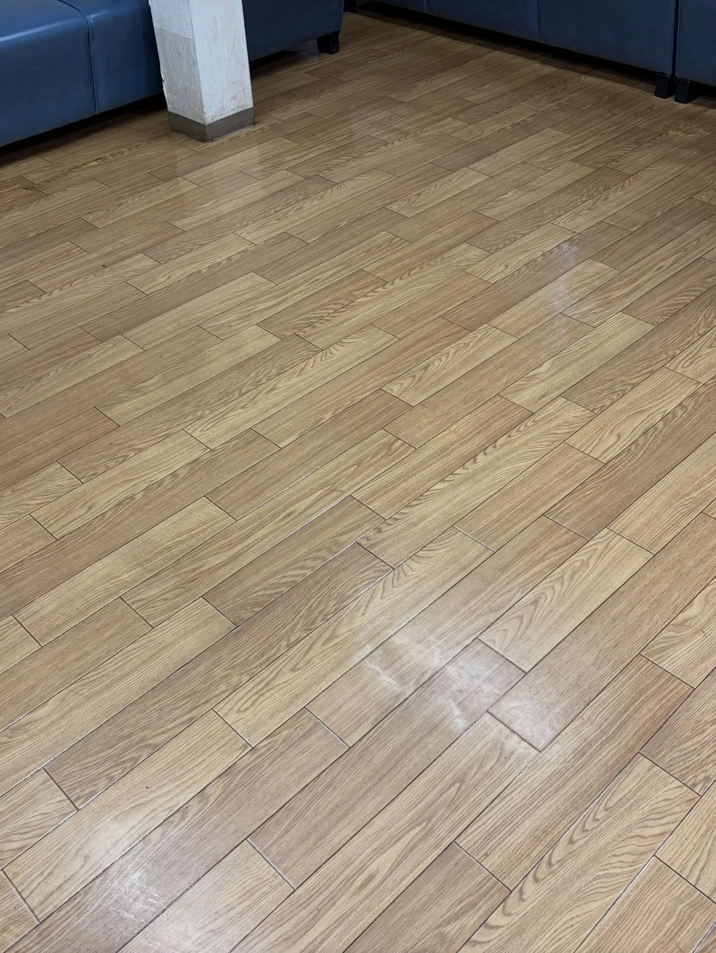 3月の穏やかな気候の中、新しい年度を迎える前のこの時期、私た...