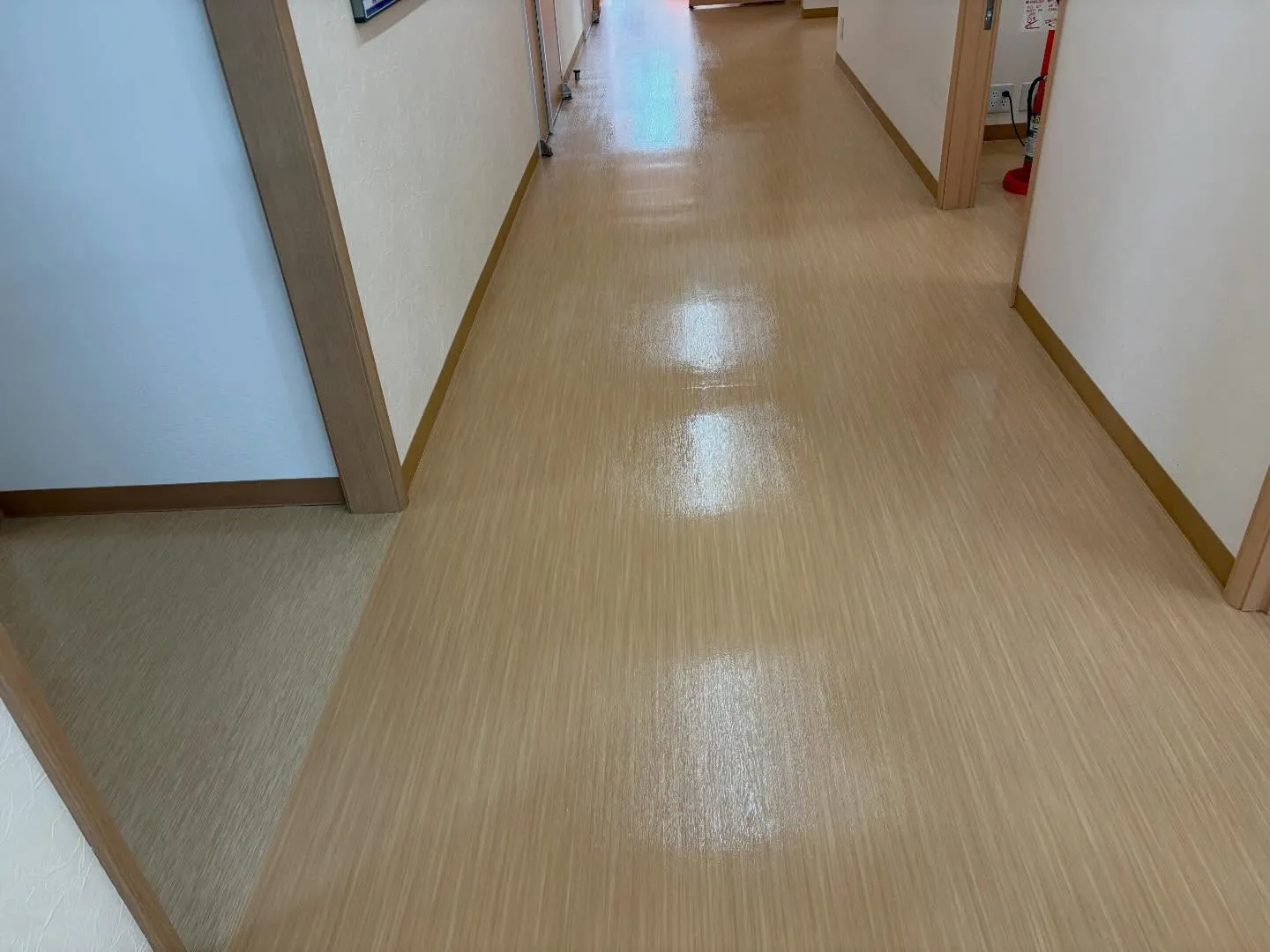 今日は水戸市にある病院で清掃のお仕事をしてきました🏥✨。