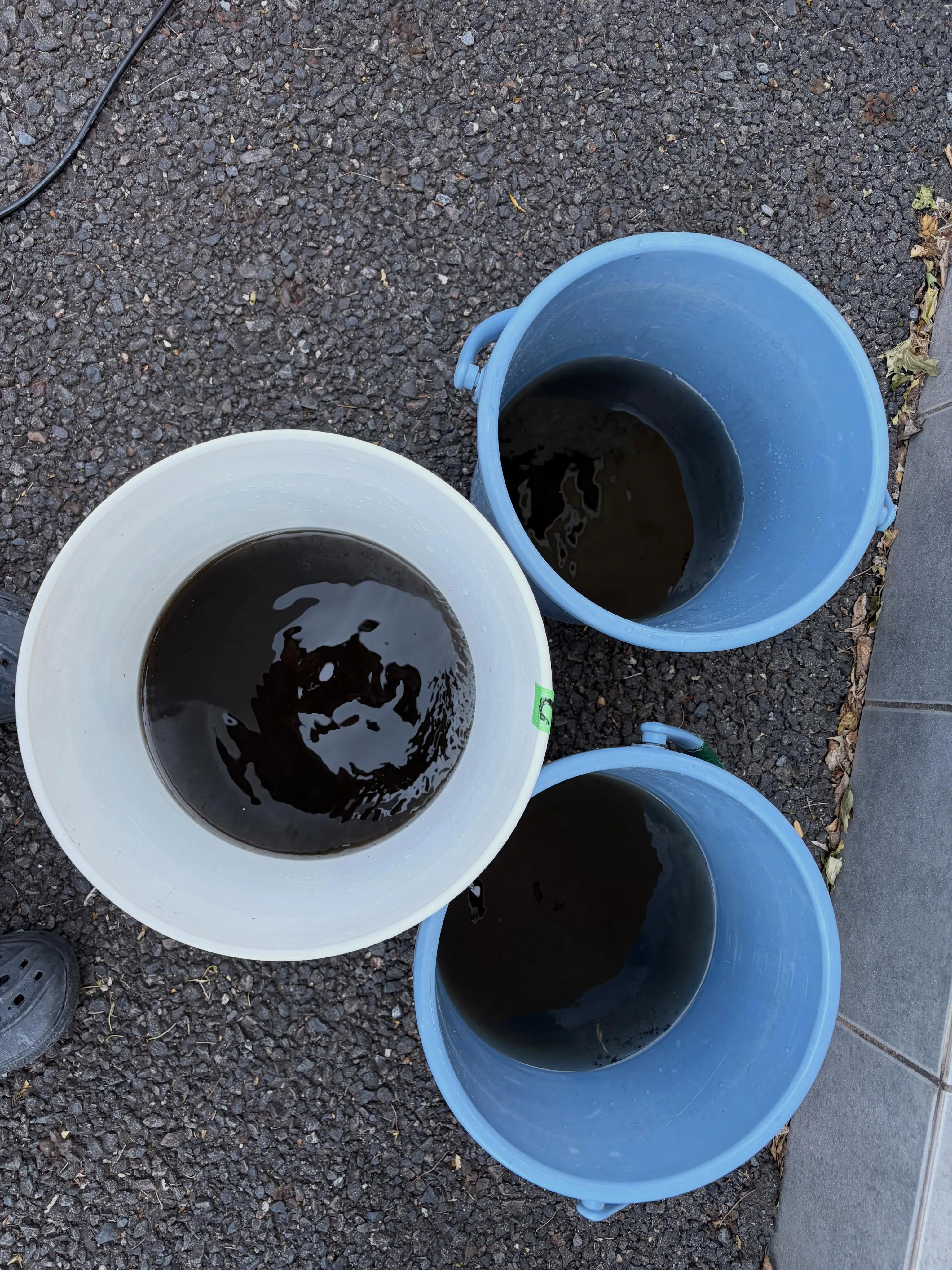 今日は水戸市で浴室とエアコンの掃除をしてきました。