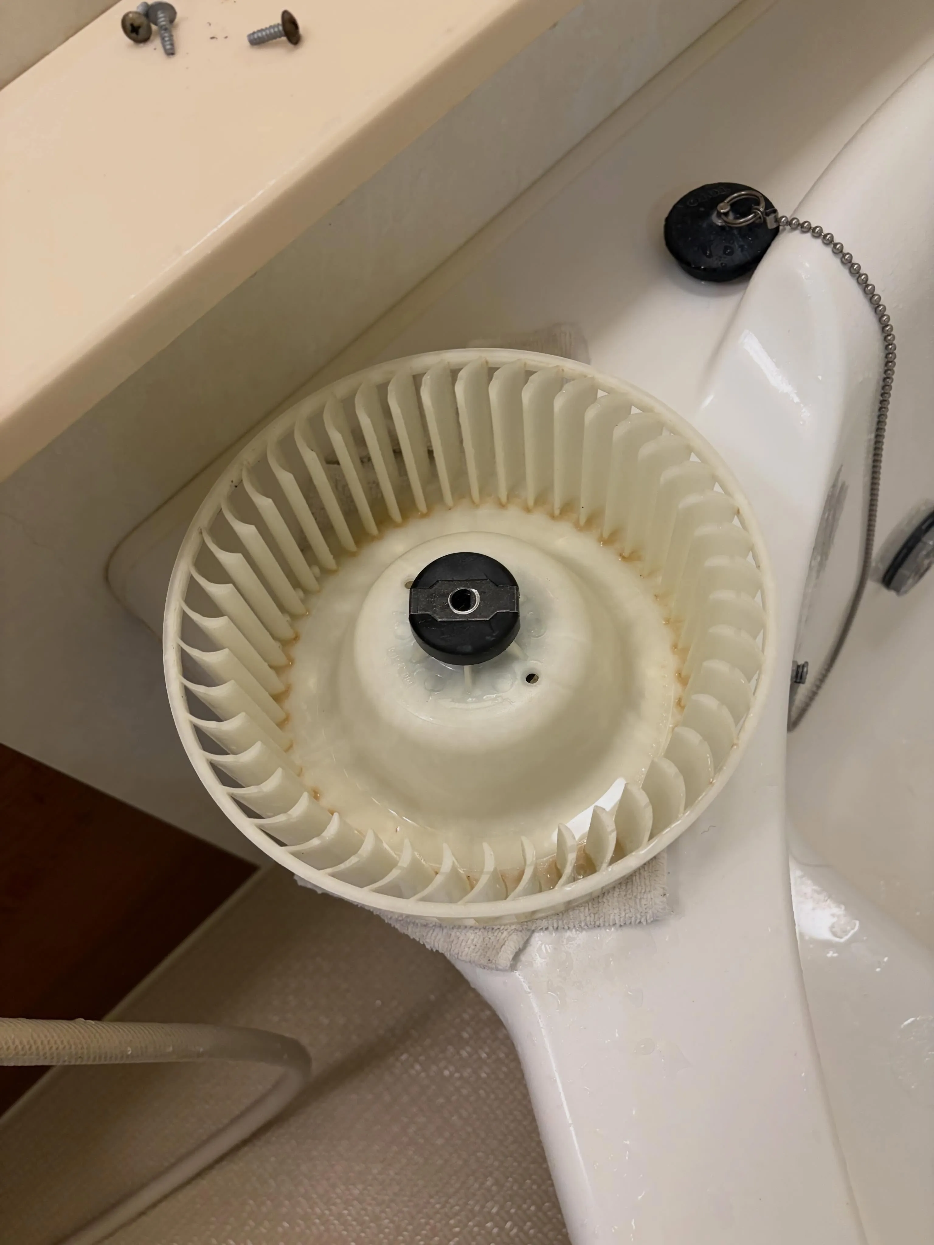 今日は良い天気ですね！