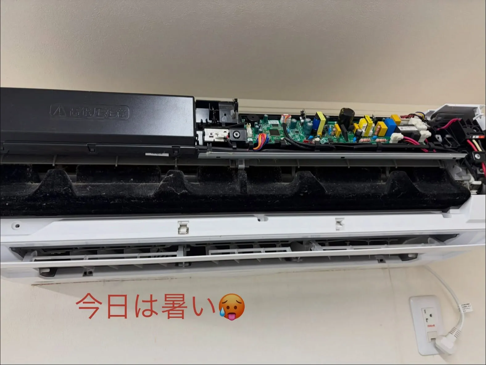 カビ退治の出番です🧽✨