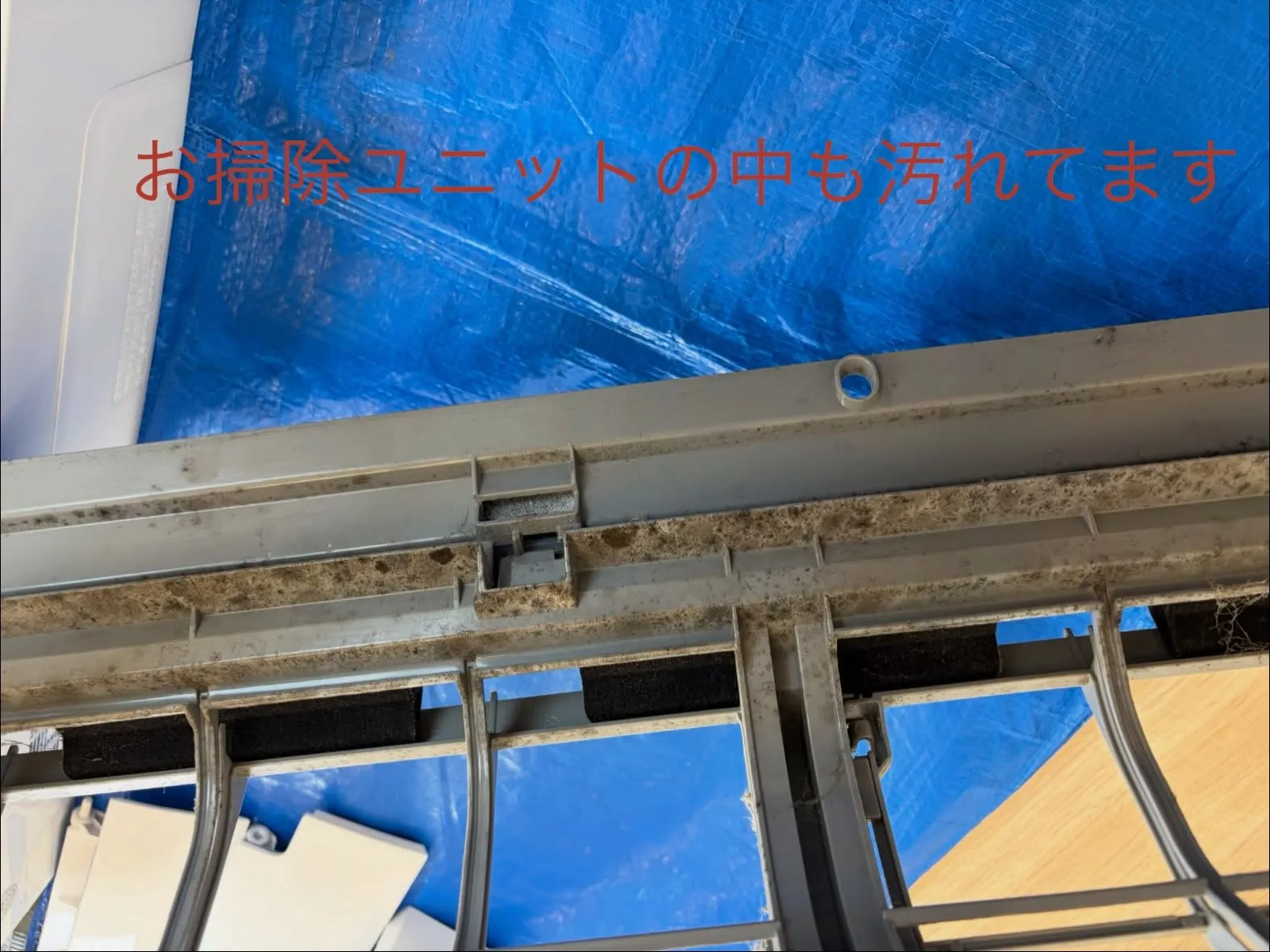 カビ退治の出番です🧽✨