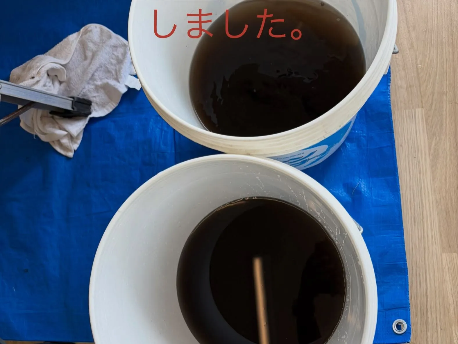 カビ退治の出番です🧽✨