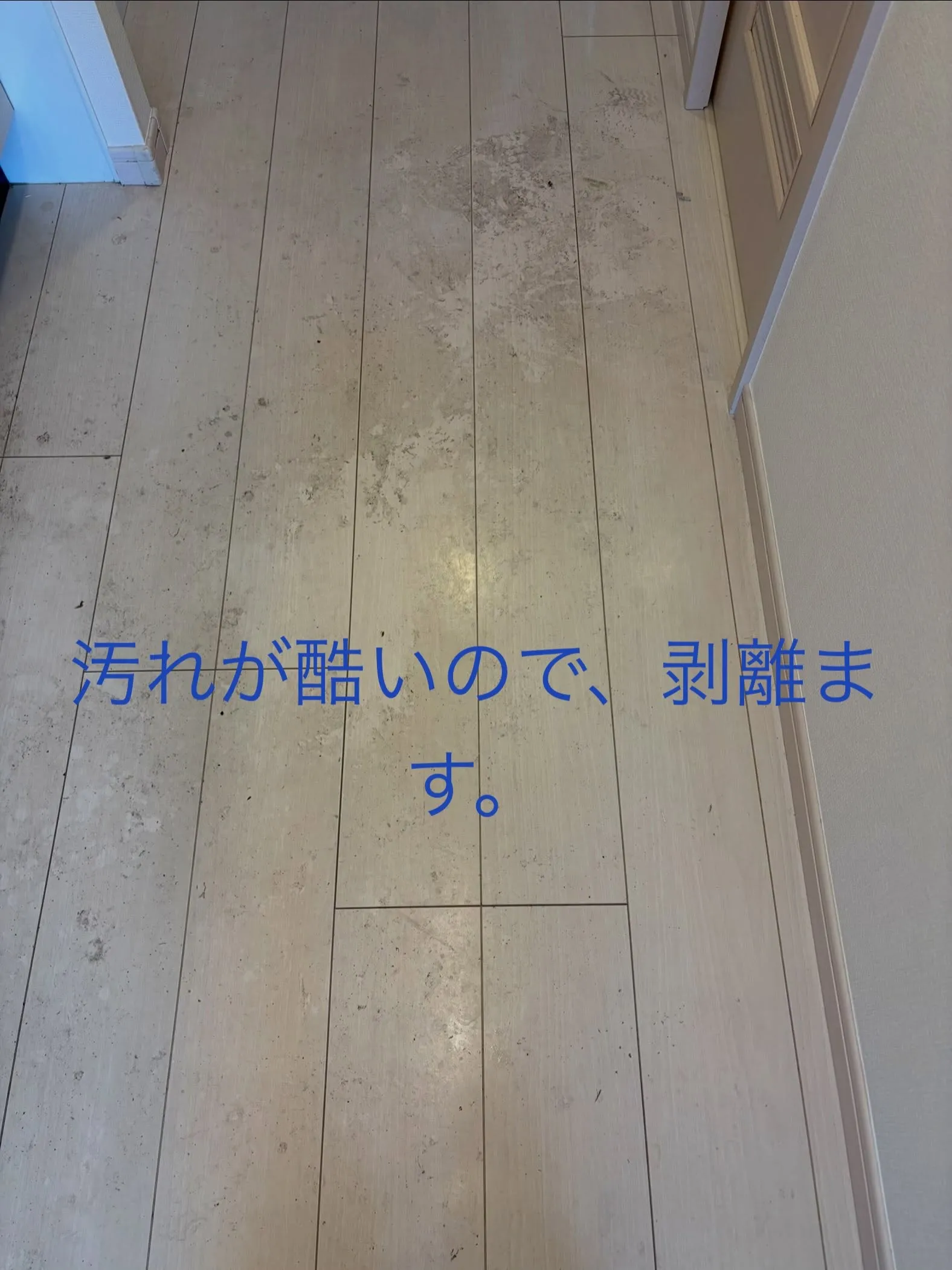 清々しい一日となりました。