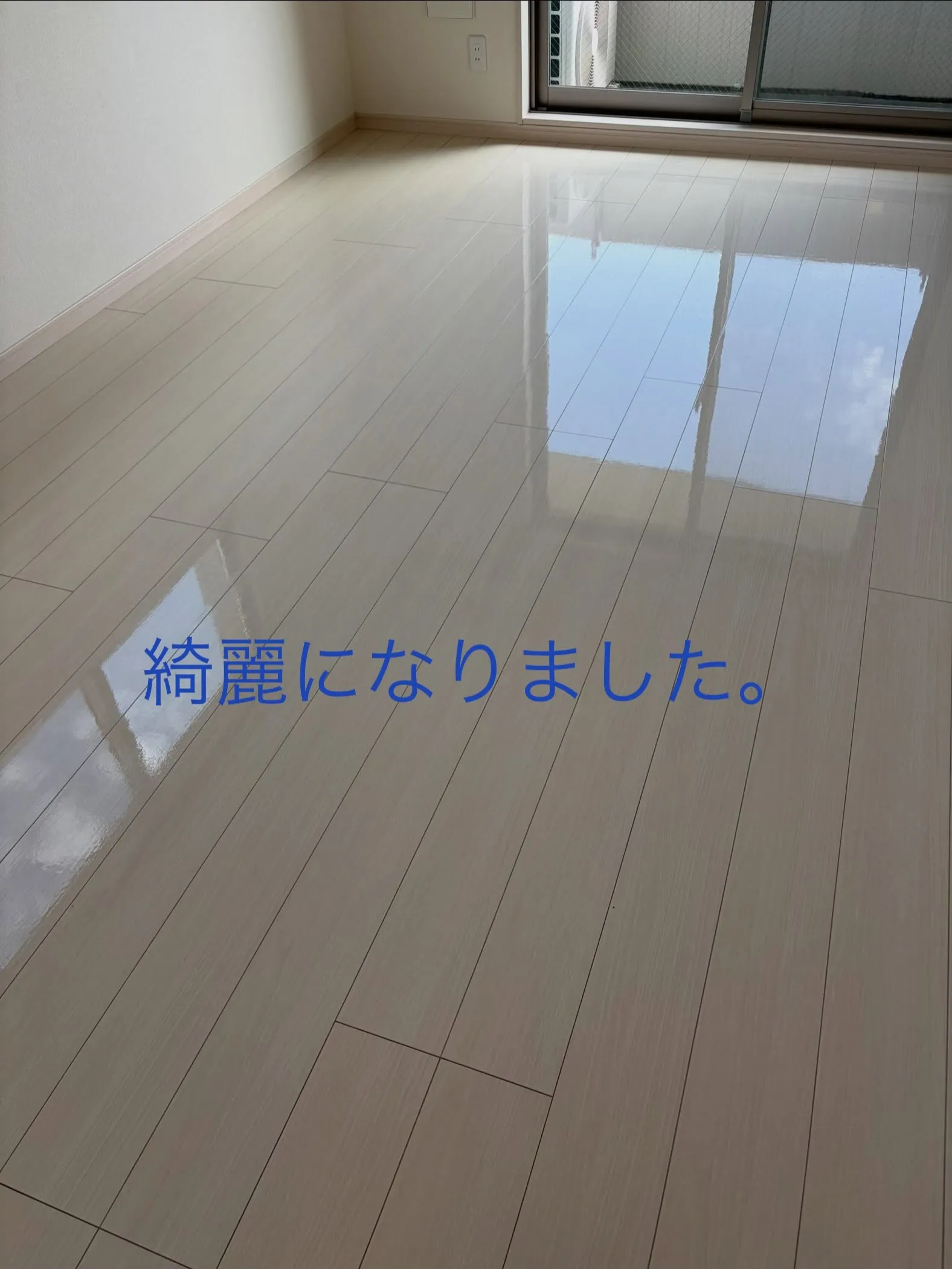 清々しい一日となりました。