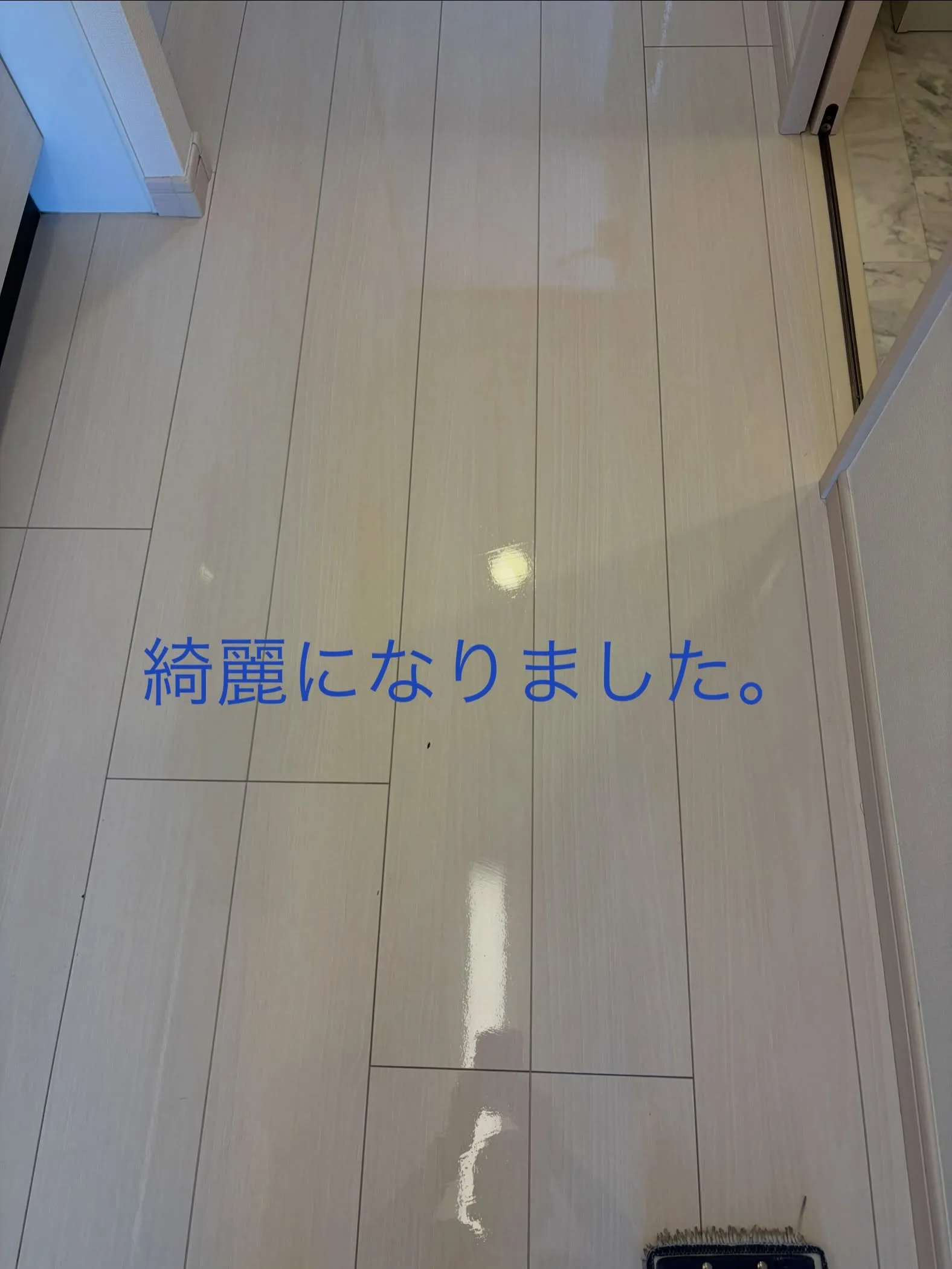 清々しい一日となりました。