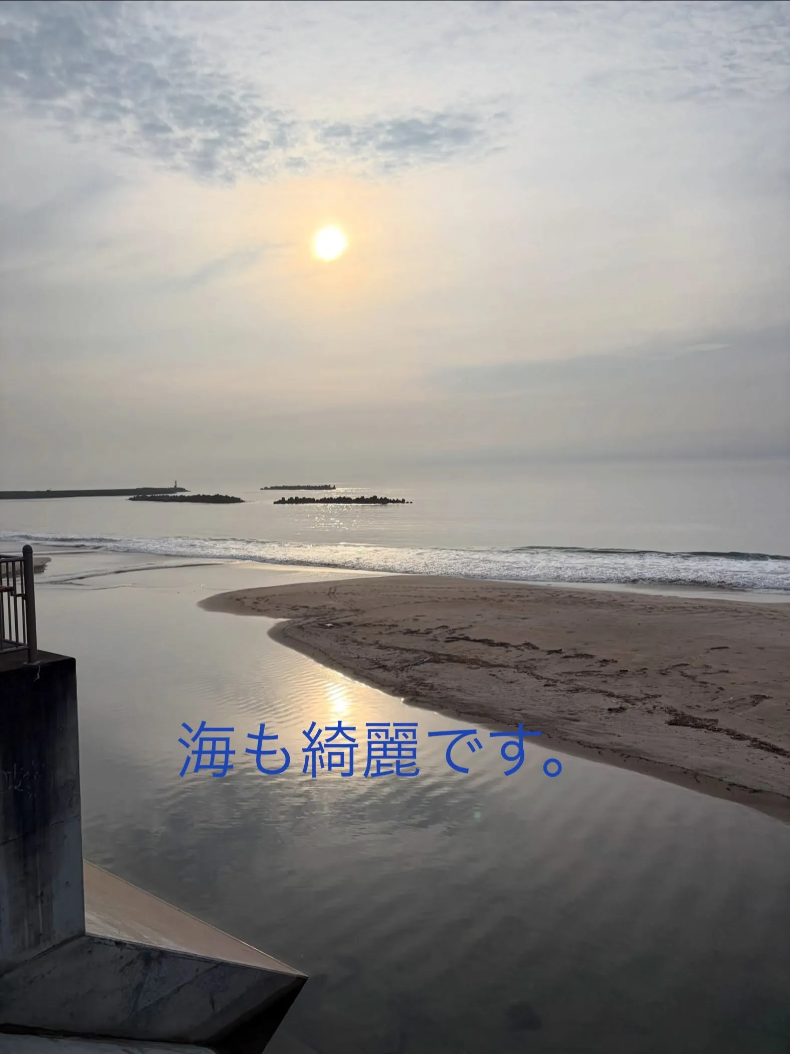 清々しい一日となりました。